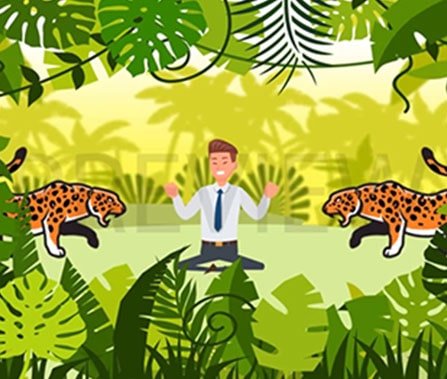 animation